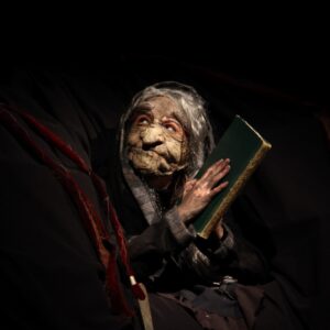 Buratto_Teatro Sociale Gualtieri_Ti vedo_ph.Riccardo Paterlini_2giugno_014 (1)