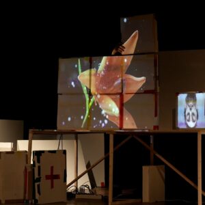 TuttaTesta_Fontemaggiore (4)