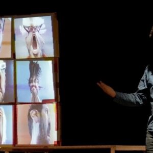 main_TuttaTesta_Fontemaggiore (5)